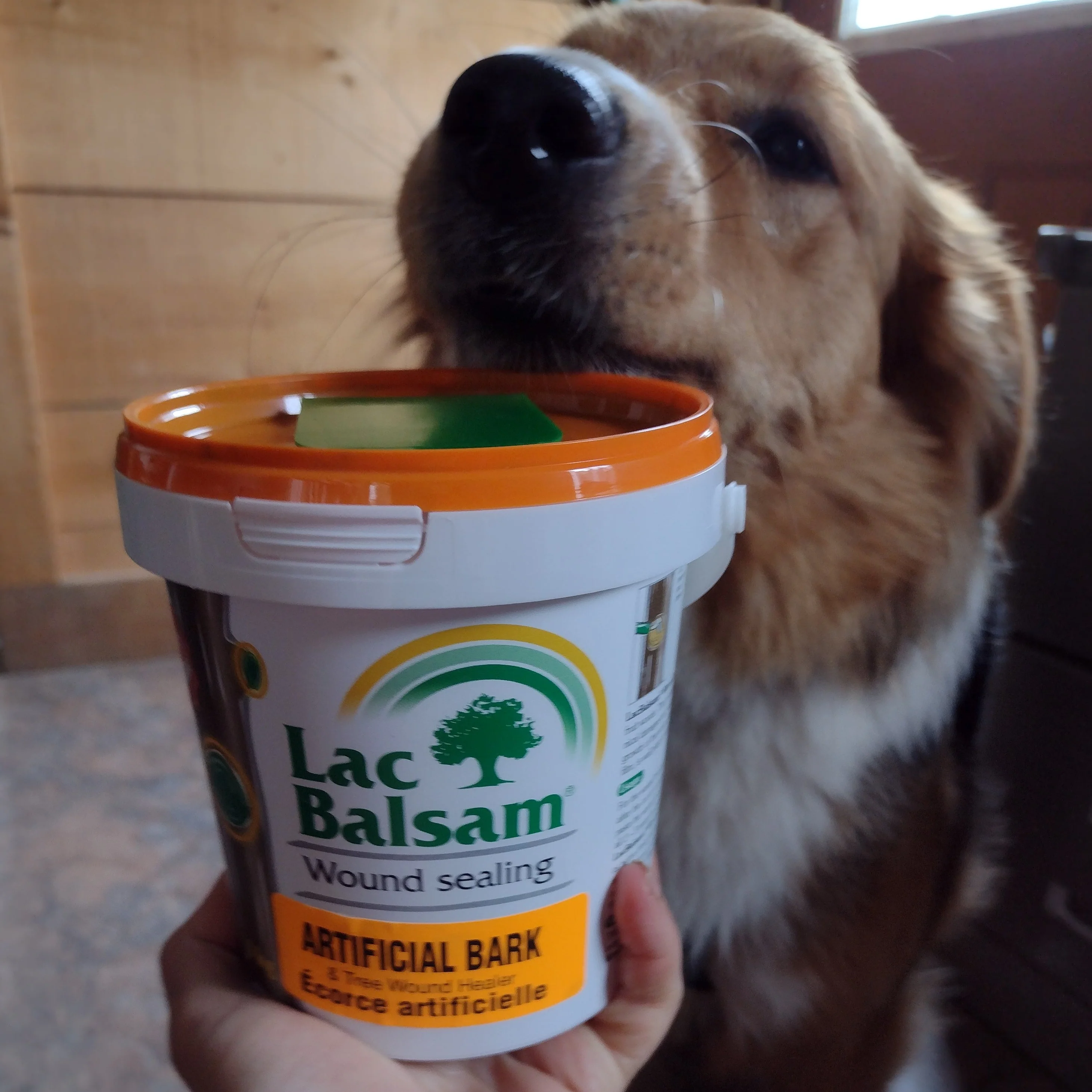 Lac Balsam - Image 3